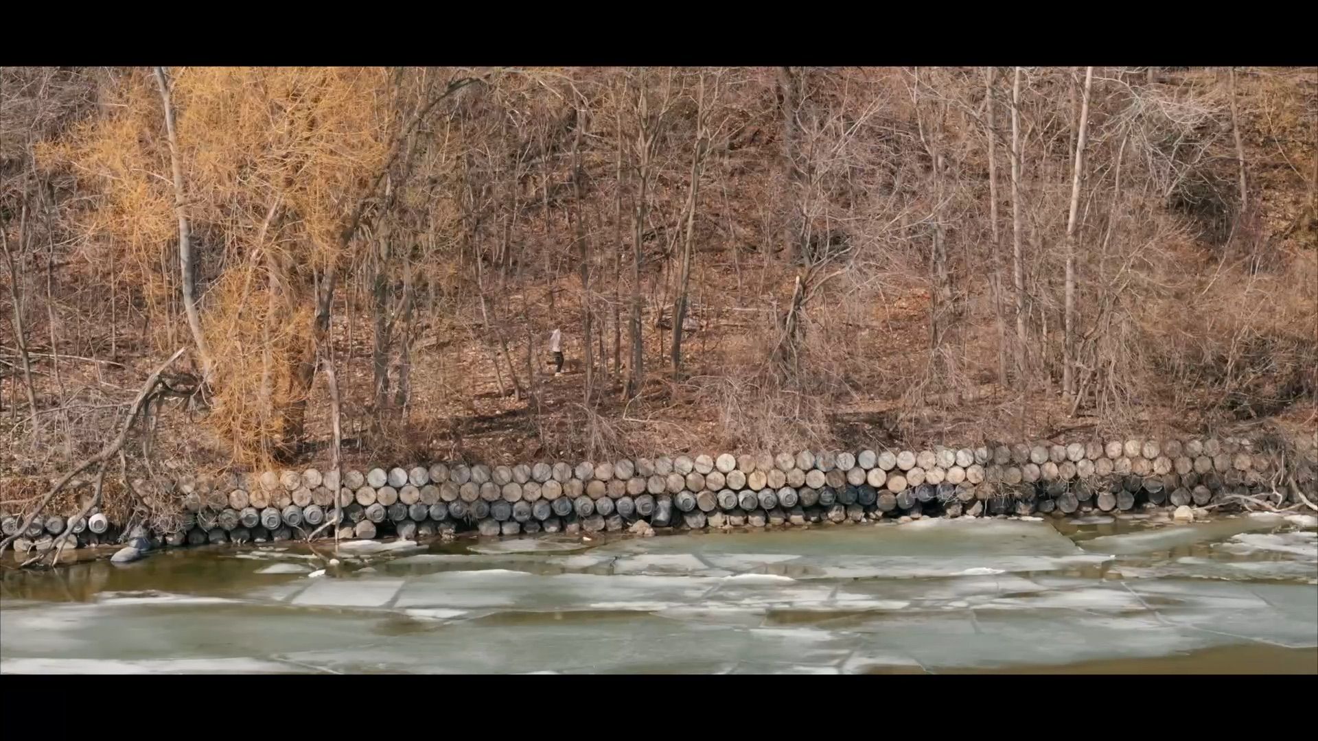 The shoreline below the trail (still from the property film)