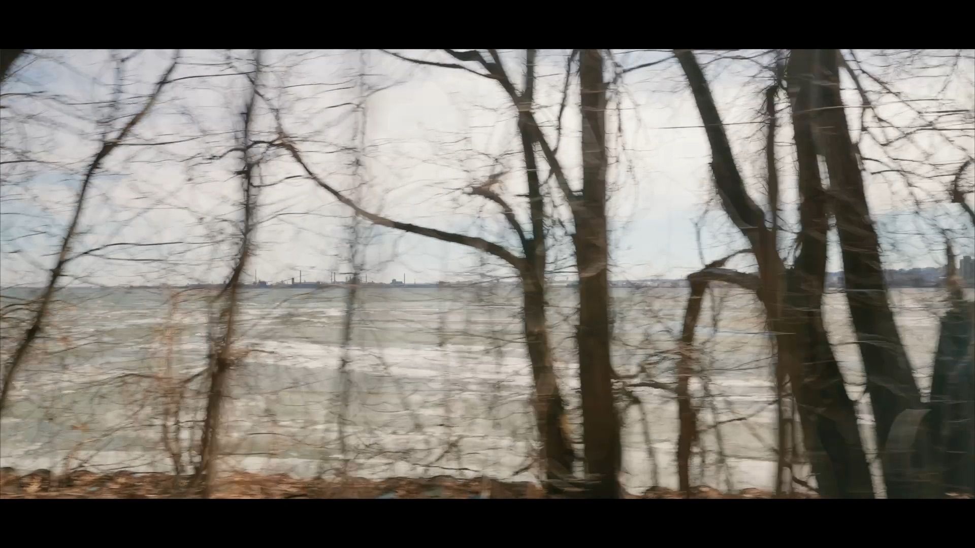 The bay through the trees from the trail (still from the property film)