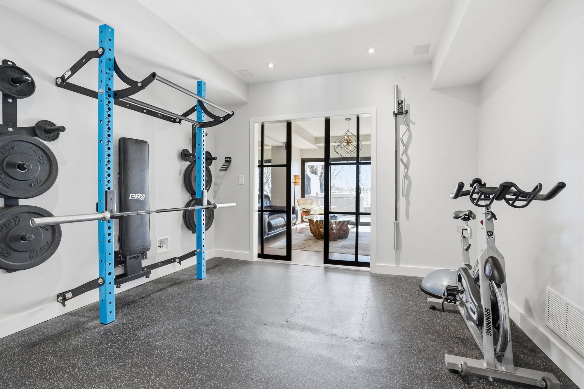 The home gym