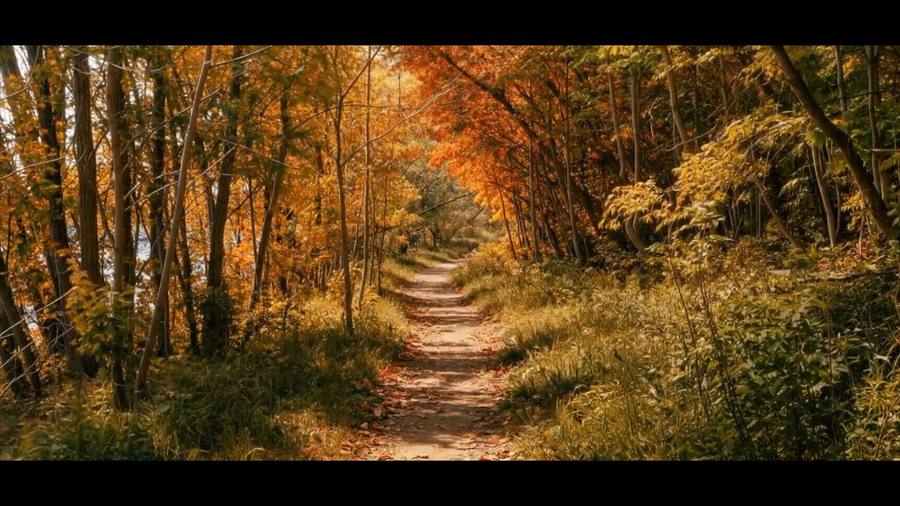 The trail in fall colour (still from the property film)